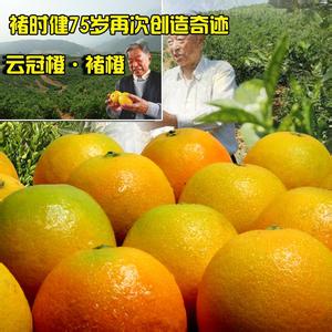 1522155035234473.jpg 2.jpg