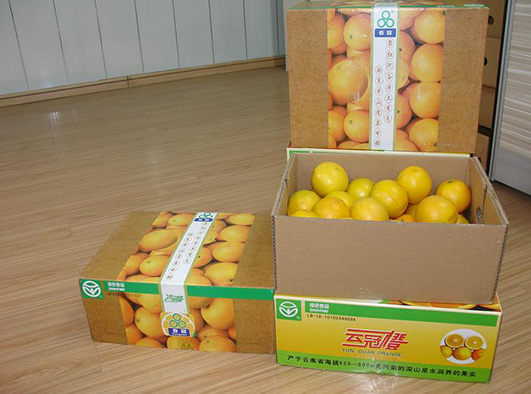 全(quán)自動水果(guǒ)箱成型機 全自動水果箱成型機