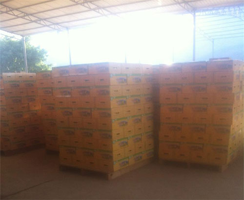 全自動製盒機械