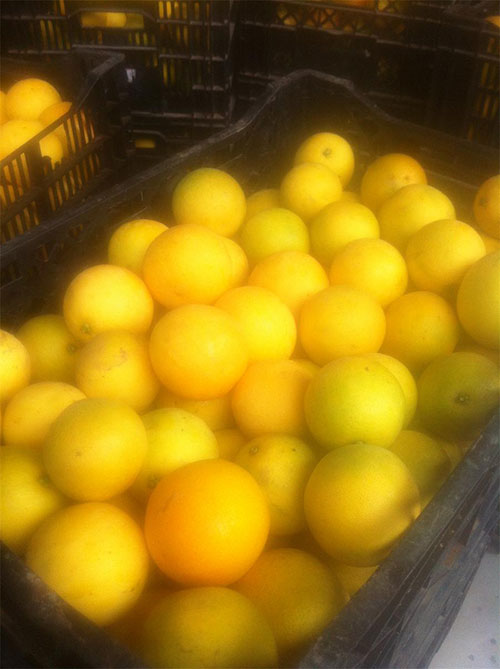 全自動水果盒成型機