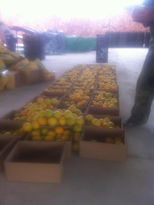 全自動瓦楞盒成型機（jī）