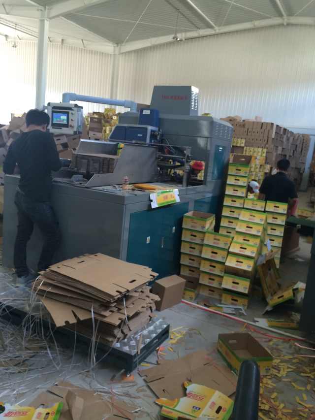 全自動鞋盒成型機