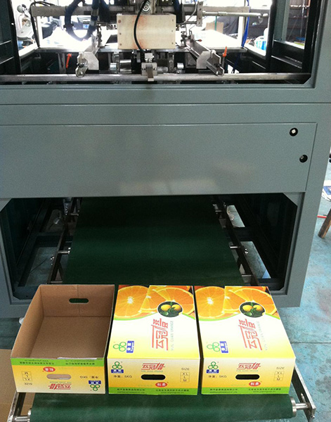 水(shuǐ)果蔬菜包裝盒成型機 水果蔬菜包裝盒成型機