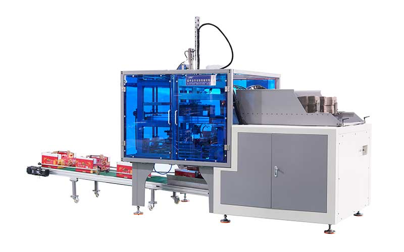 1699524608484214.jpg 5.jpg